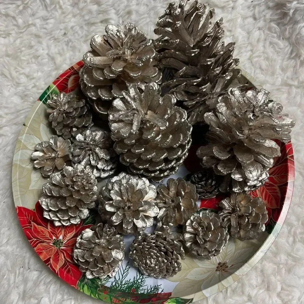 Set of 14 silvery gold Pine Cones 4,3,2” for Holiday Home Decor